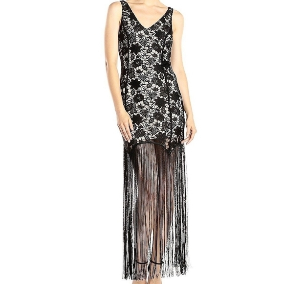 Ark & Co Dresses & Skirts - Ark & Co. Fringe Bottom Deep V Lace Evening Gown